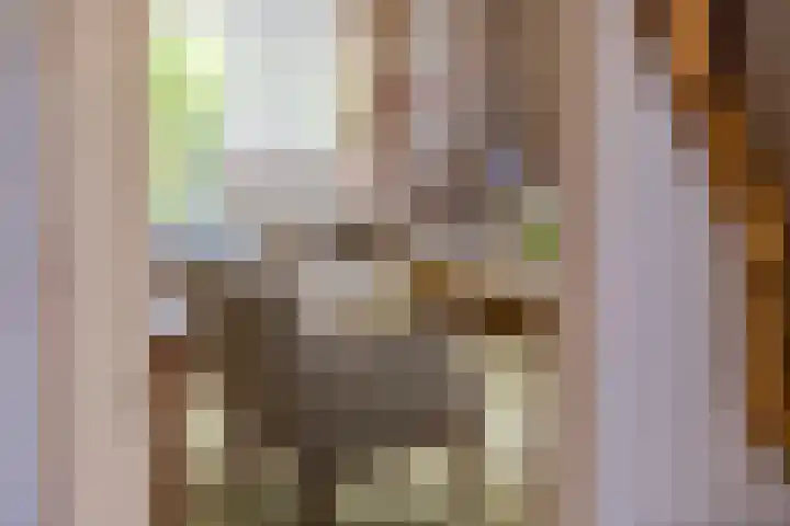 Beemdstraat 39 a Deil thumbnail 37