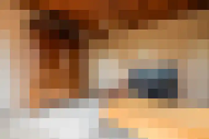Beemdstraat 39 a Deil thumbnail 43