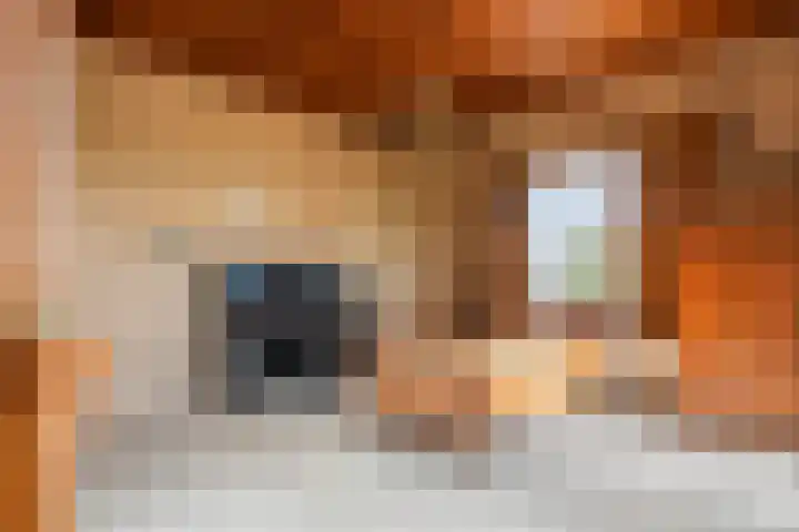 Beemdstraat 39 a Deil thumbnail 44