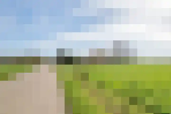 Beemdstraat 39 a Deil thumbnail 5