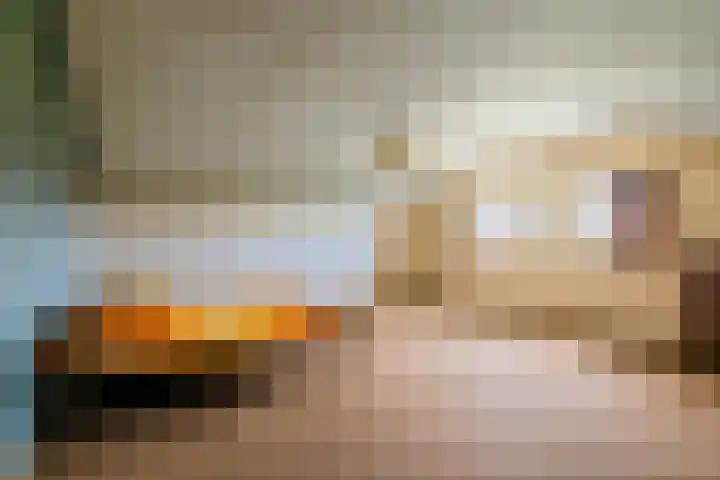 Beemdstraat 39 a Deil thumbnail 53