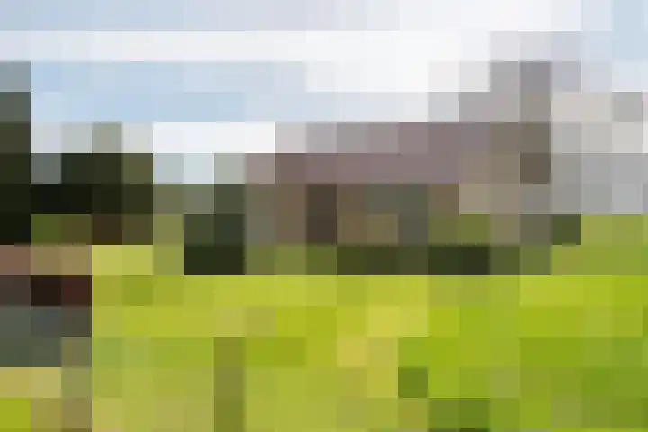 Beemdstraat 39 a Deil thumbnail 6