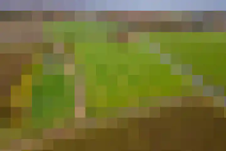 Beemdstraat 39 a Deil thumbnail 64