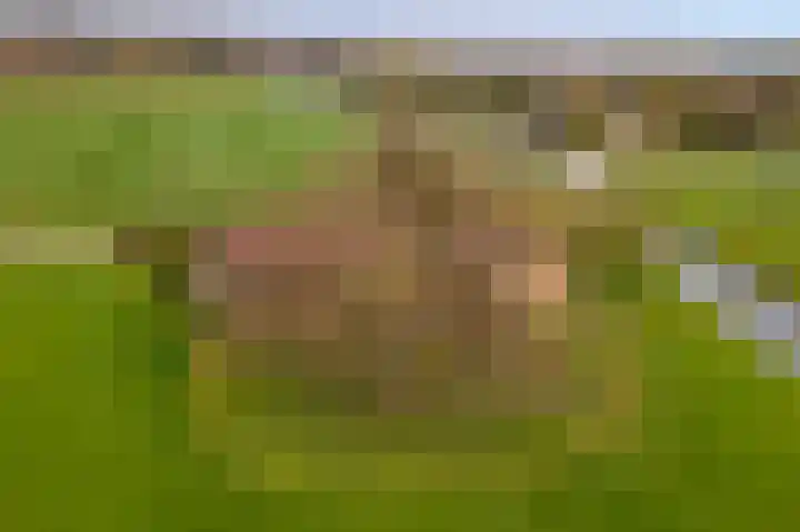 Beemdstraat 39 a Deil thumbnail 69