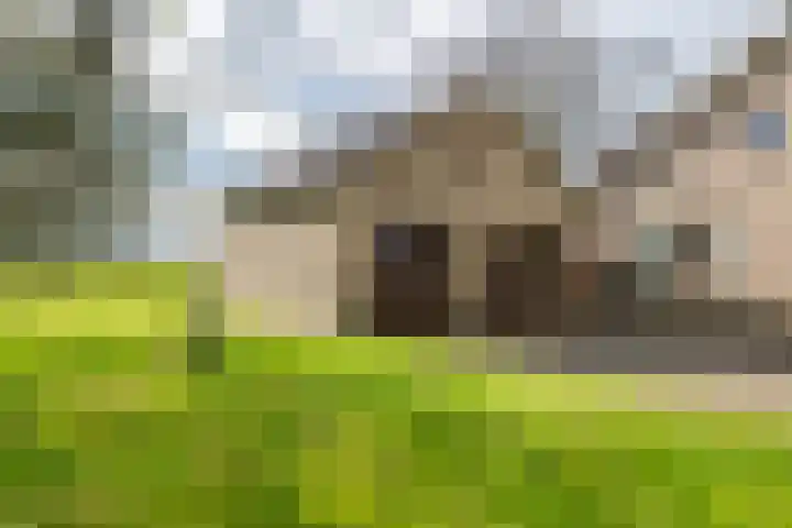 Beemdstraat 39 a Deil thumbnail 8