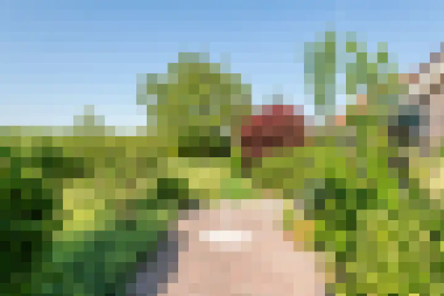 Beemdstraat 45 Deil thumbnail 10