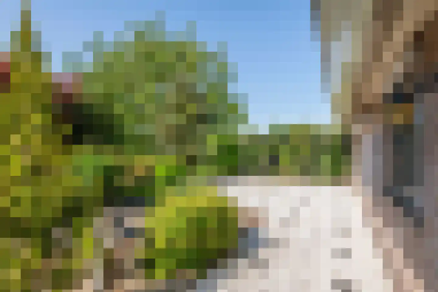 Beemdstraat 45 Deil thumbnail 12