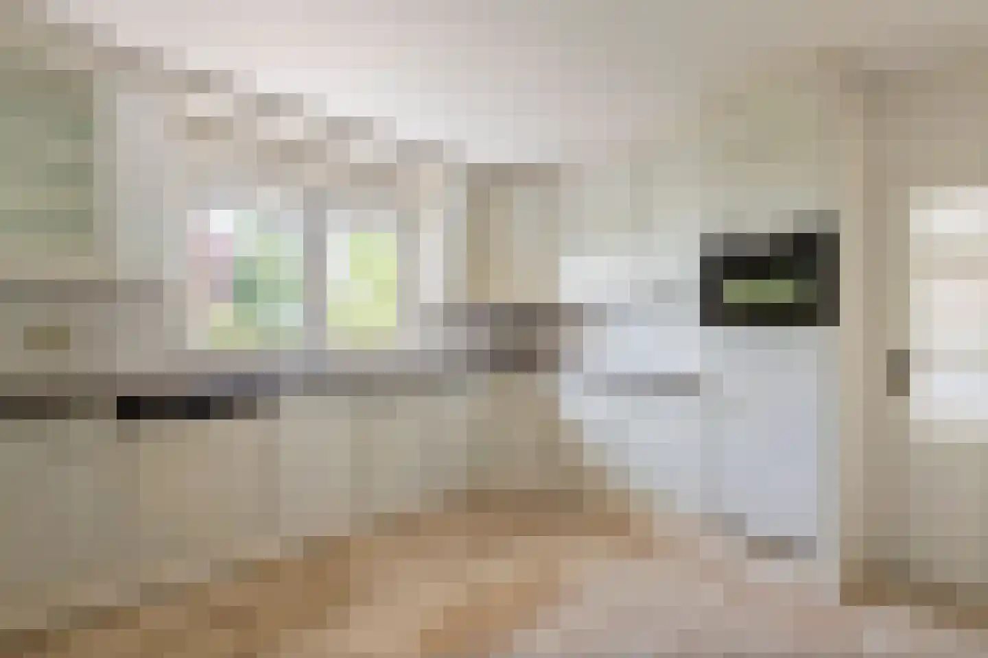Beemdstraat 45 Deil thumbnail 26