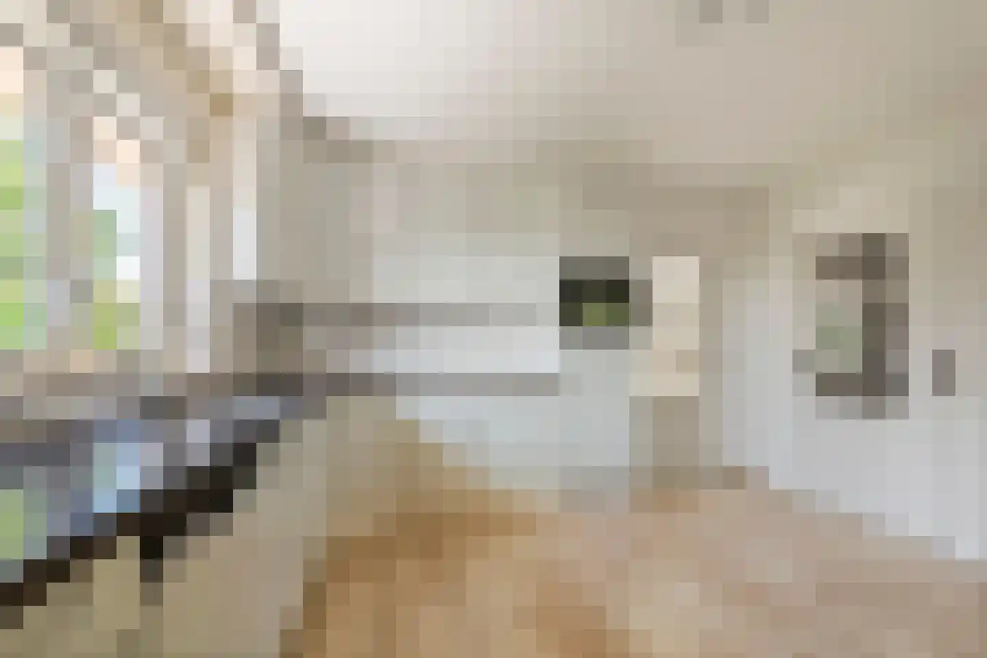 Beemdstraat 45 Deil thumbnail 27