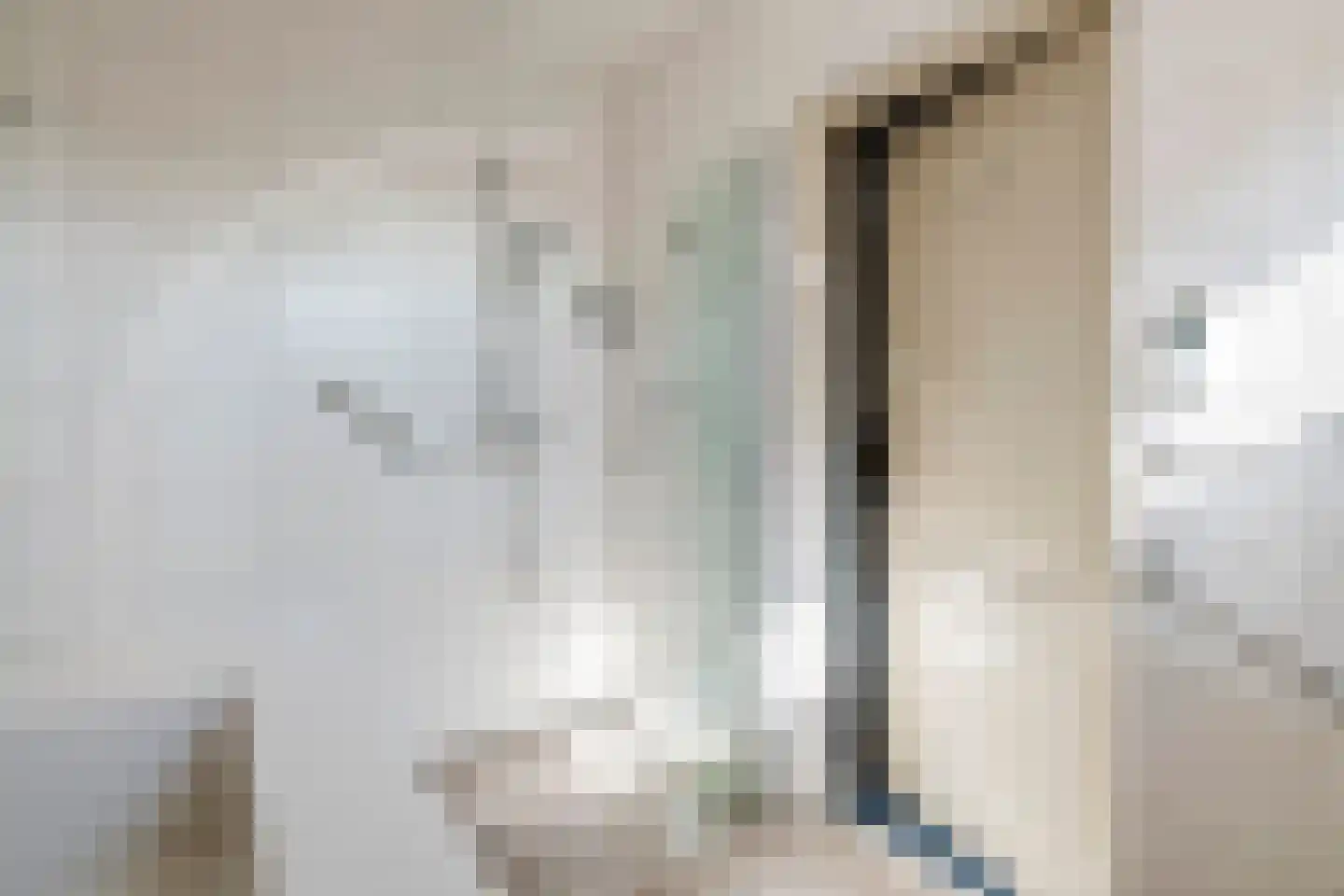 Beemdstraat 45 Deil thumbnail 30