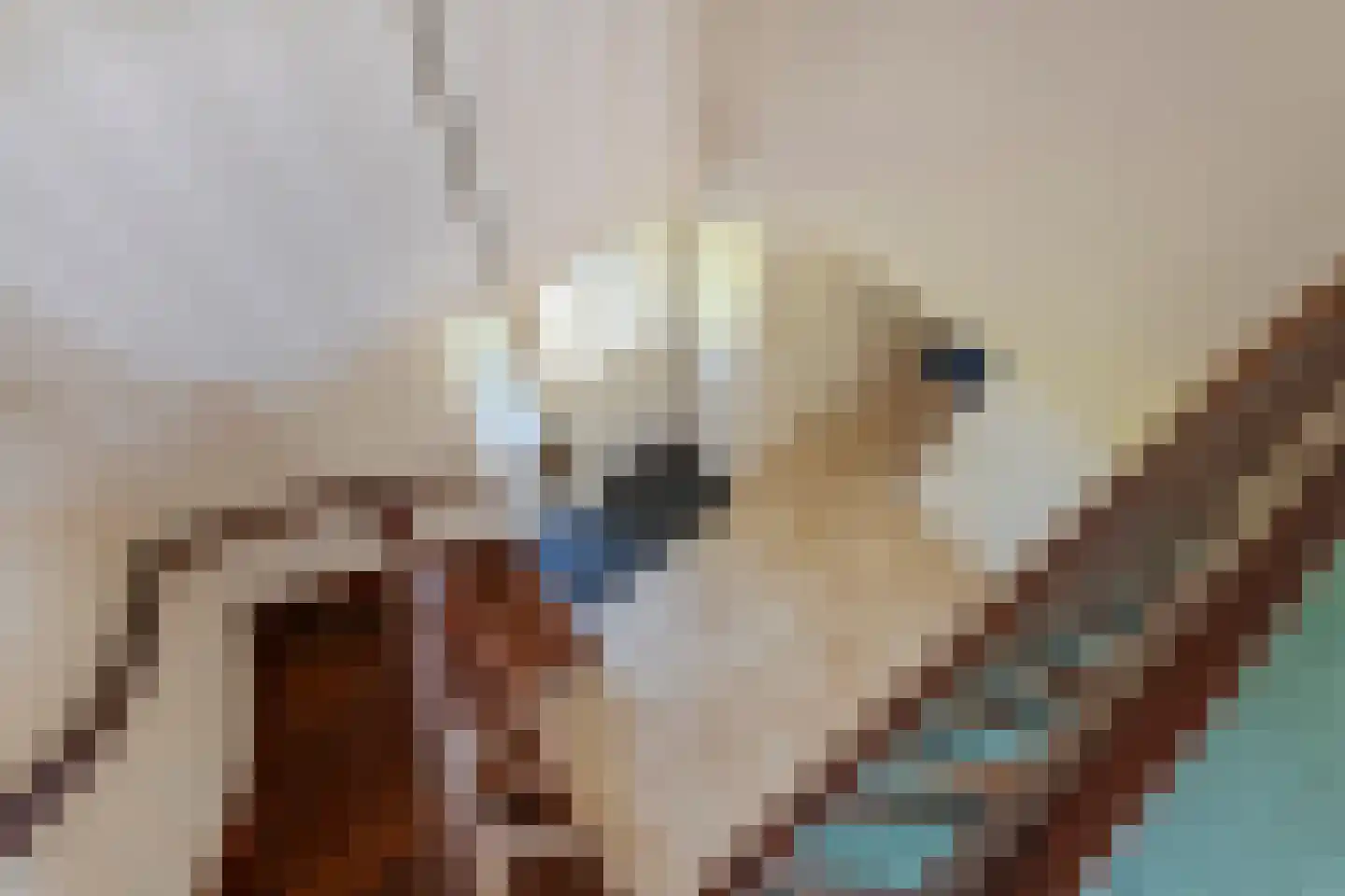 Beemdstraat 45 Deil thumbnail 38