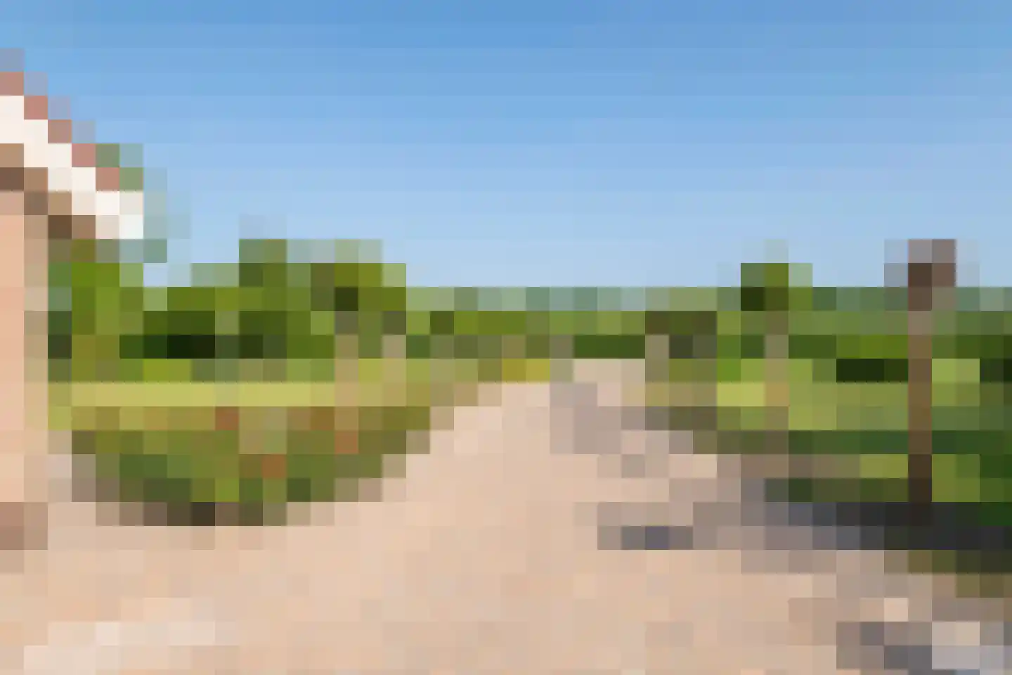 Beemdstraat 45 Deil thumbnail 4