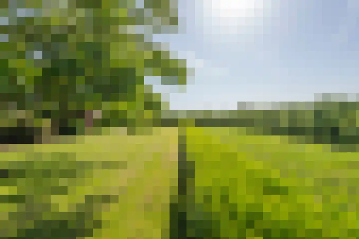 Beemdstraat 45 Deil thumbnail 5