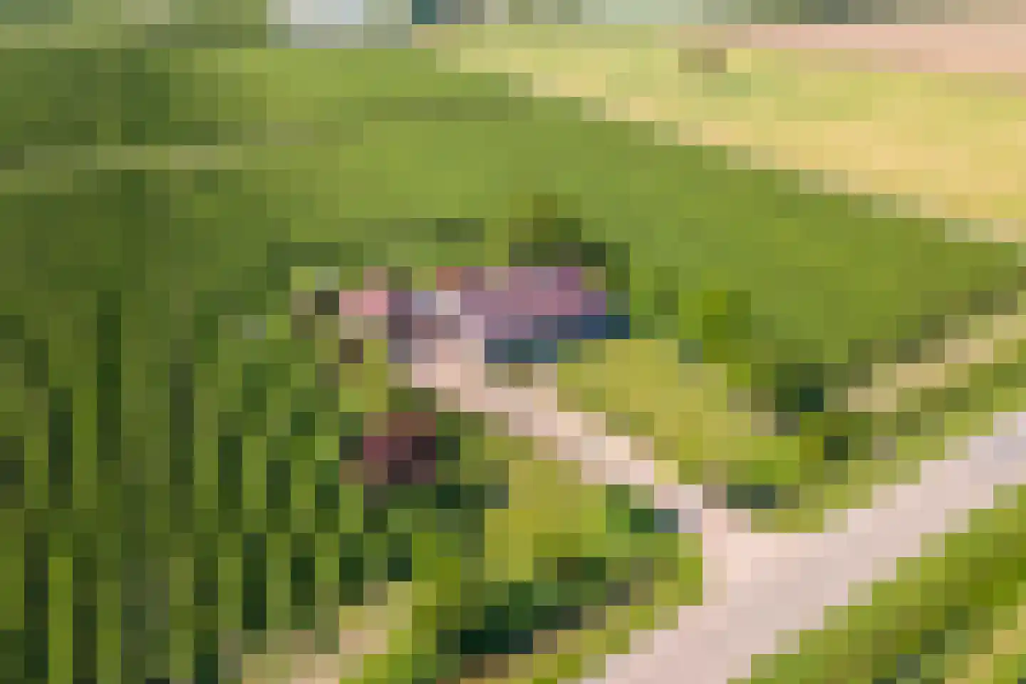 Beemdstraat 45 Deil thumbnail 50