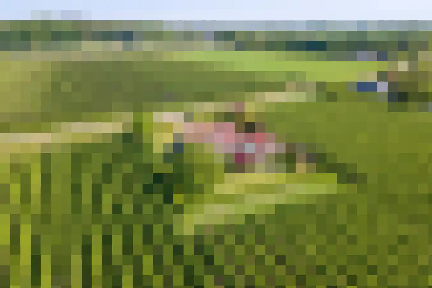 Beemdstraat 45 Deil thumbnail 52