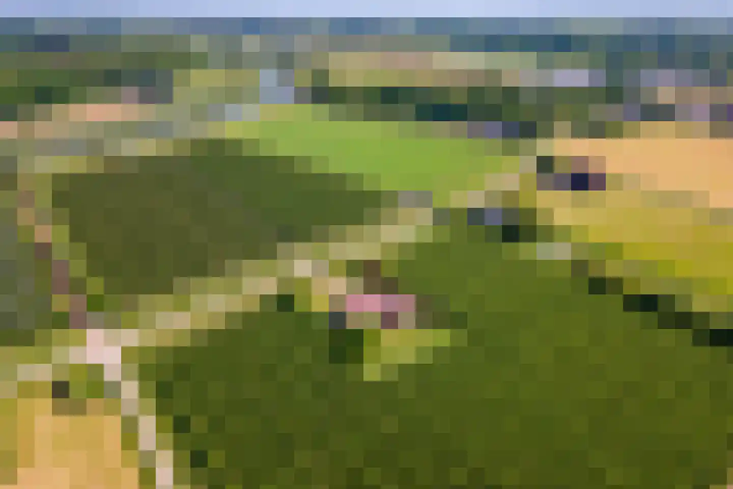 Beemdstraat 45 Deil thumbnail 53