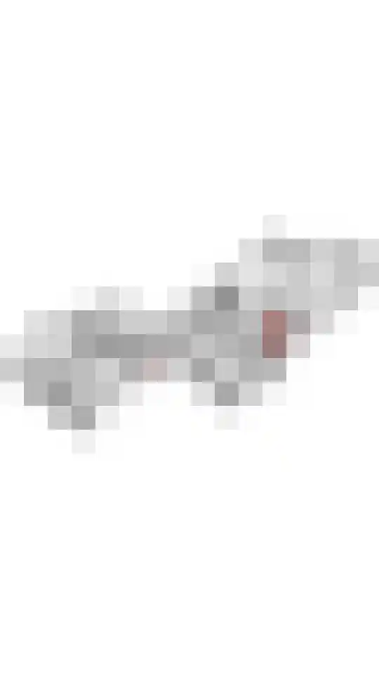 Beemdstraat 45 Deil thumbnail 56