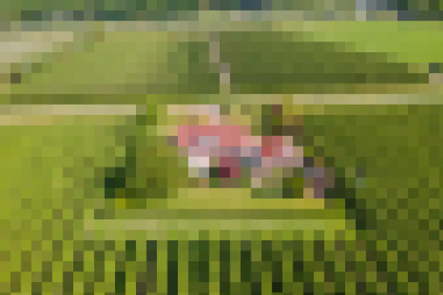 Beemdstraat 45 Deil thumbnail 6