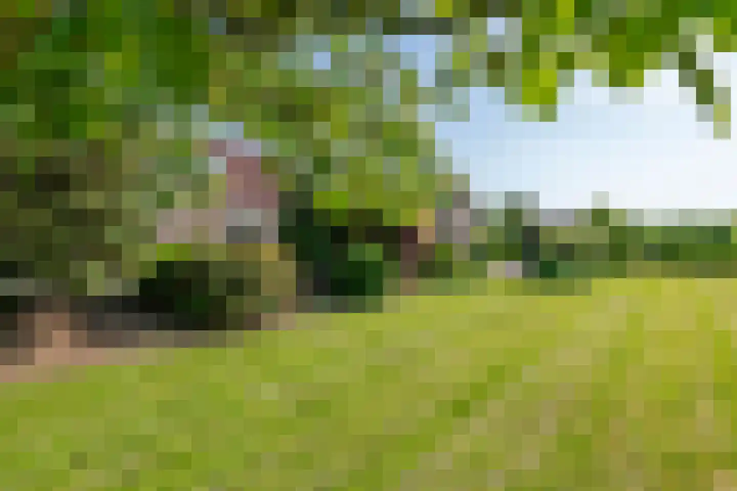Beemdstraat 45 Deil thumbnail 7