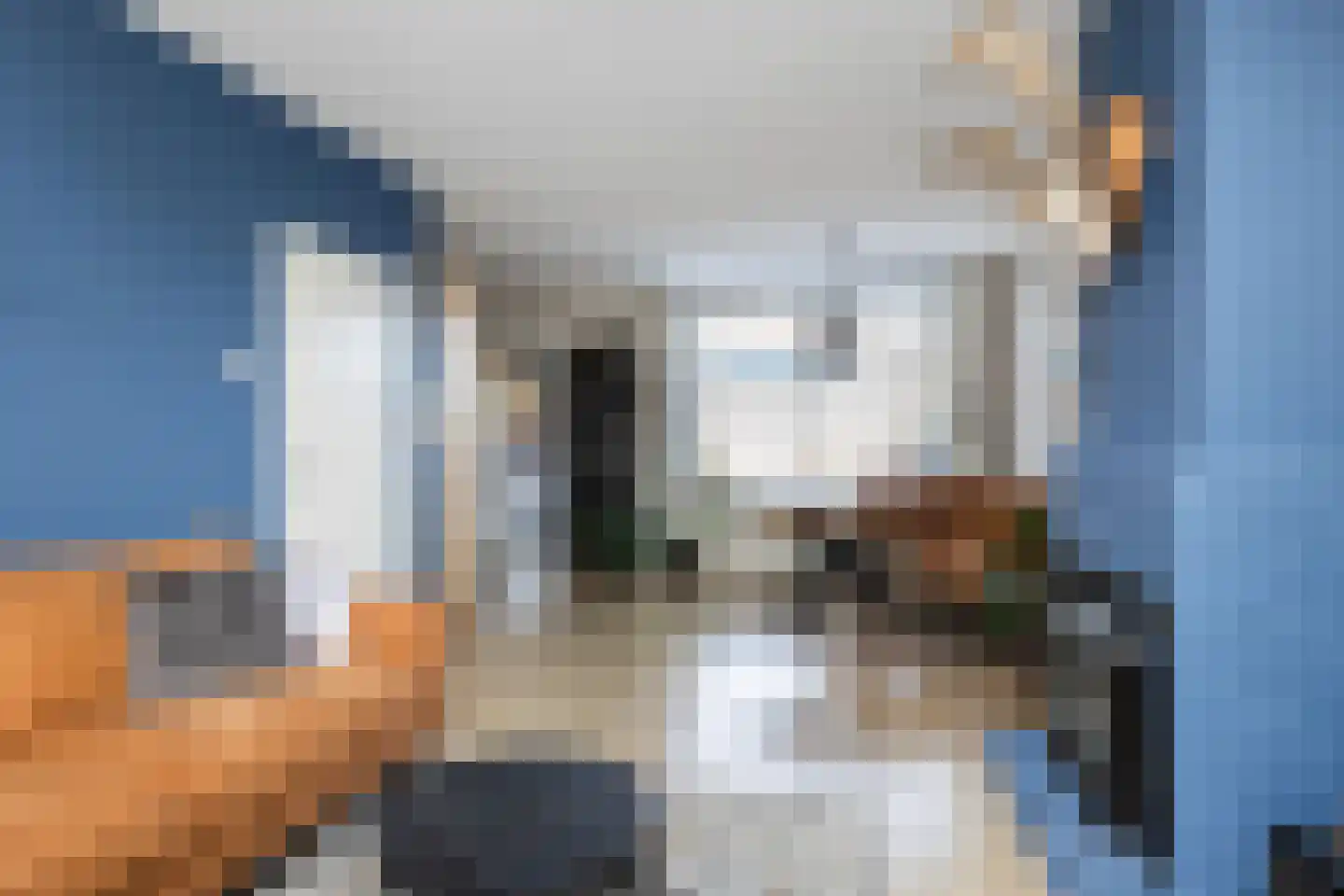 Beemdweg 15 't Harde thumbnail 14