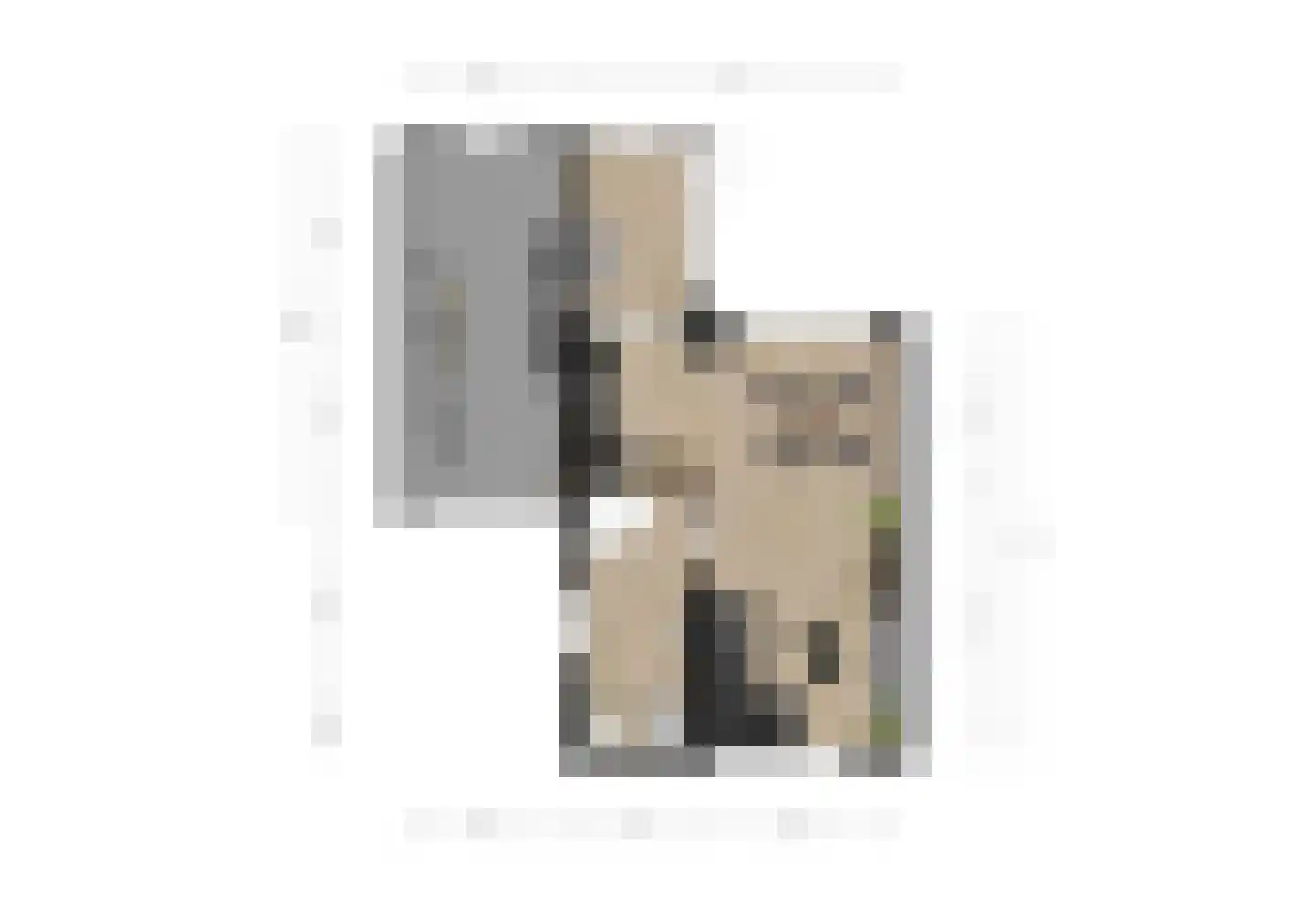 Beemdweg 15 't Harde thumbnail 37