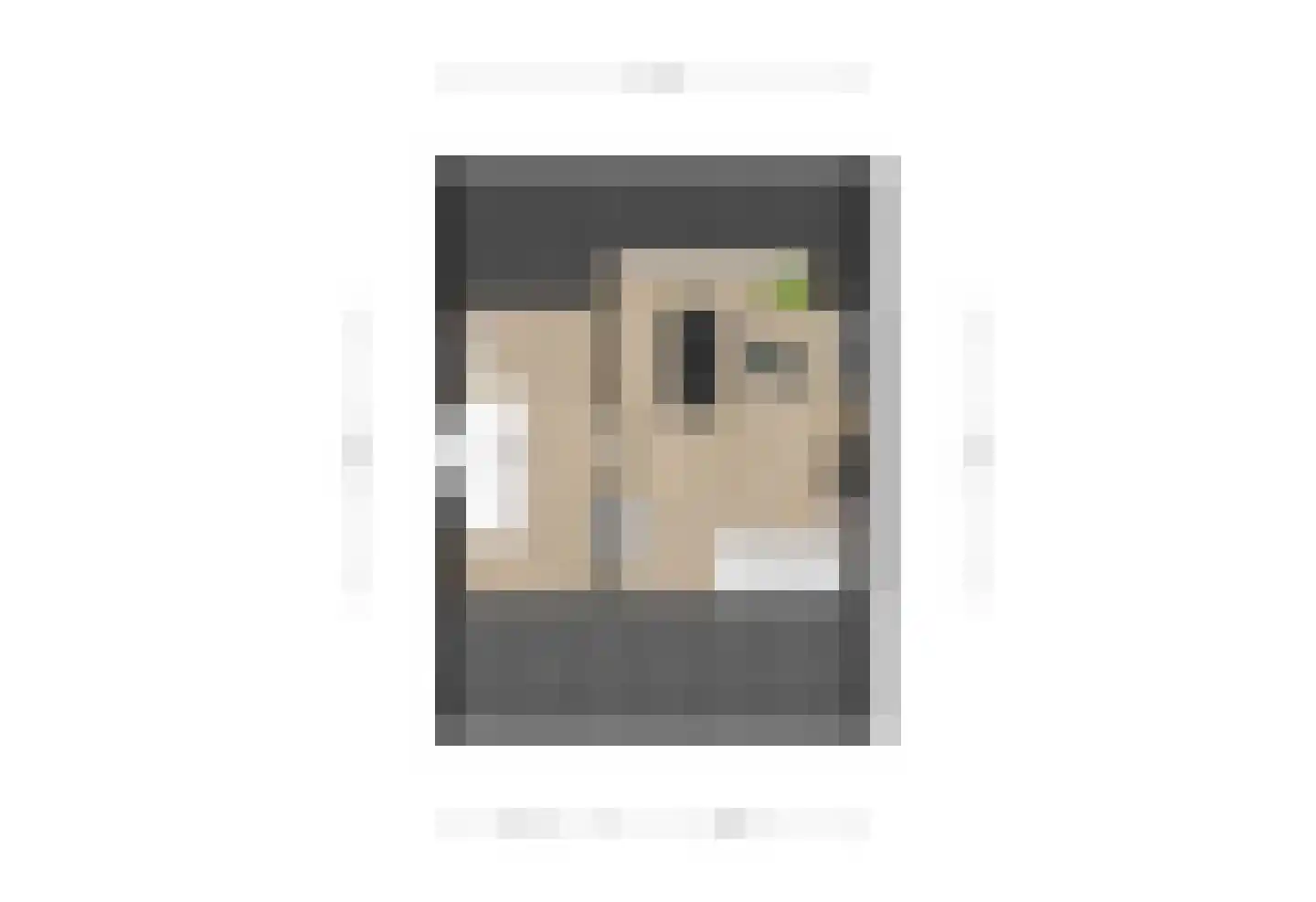 Beemdweg 15 't Harde thumbnail 39