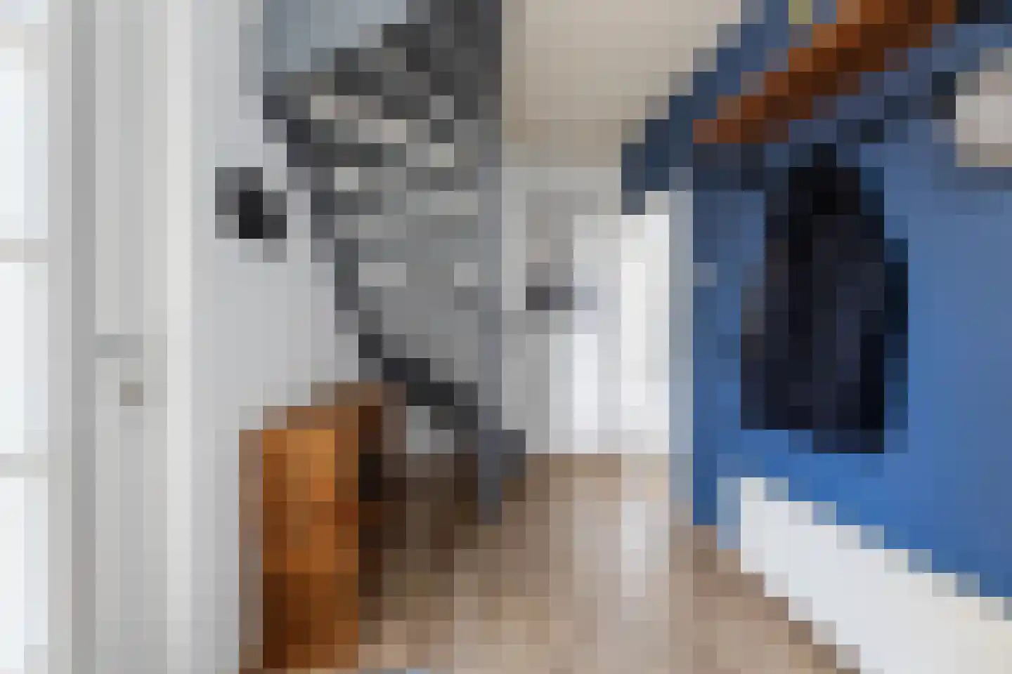 Beemdweg 15 't Harde thumbnail 6