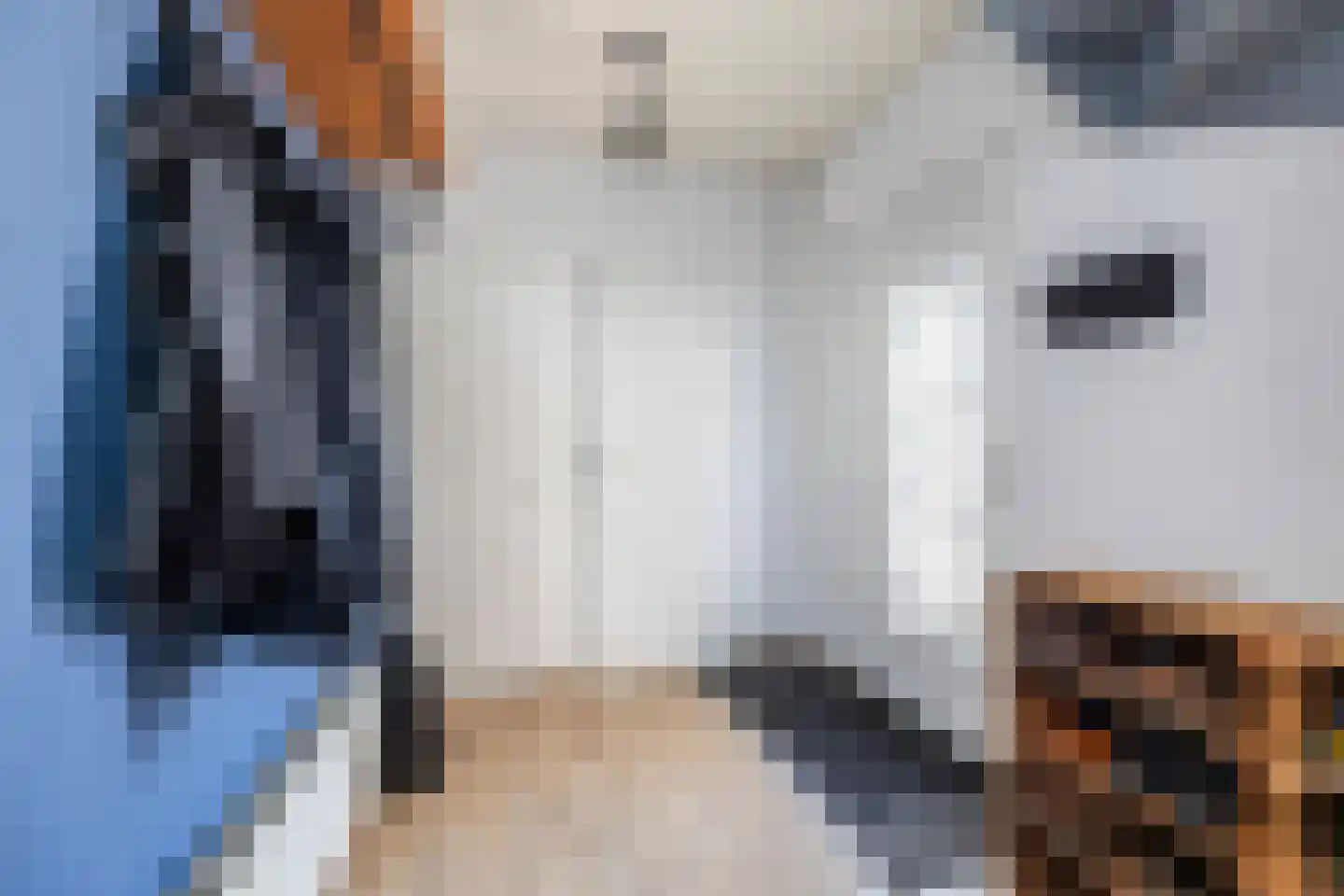 Beemdweg 15 't Harde thumbnail 7