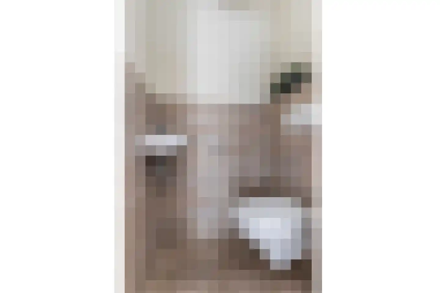 Beemdweg 15 't Harde thumbnail 8