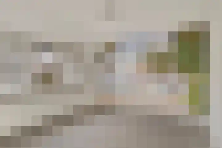 Beemdweg 20 Valkenswaard thumbnail 14