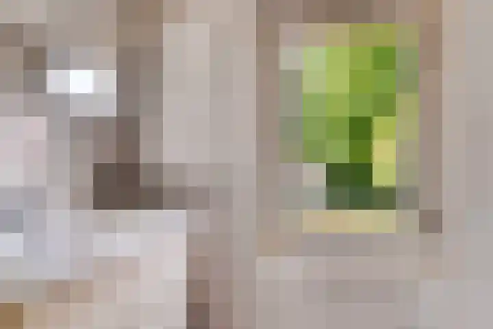 Beemdweg 20 Valkenswaard thumbnail 17