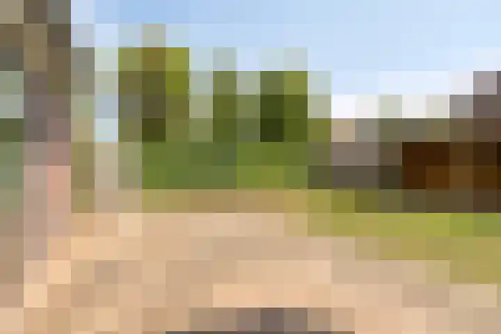 Beemdweg 20 Valkenswaard thumbnail 19