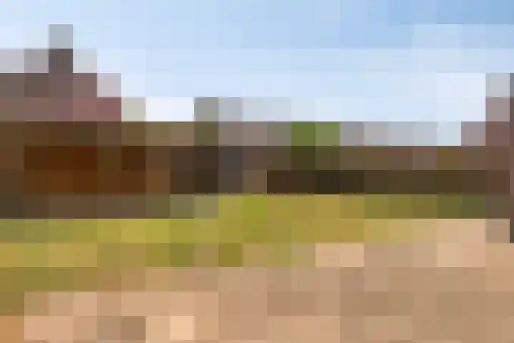 Beemdweg 20 Valkenswaard thumbnail 20