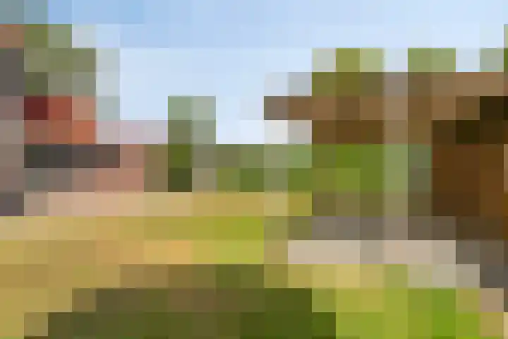 Beemdweg 20 Valkenswaard thumbnail 22