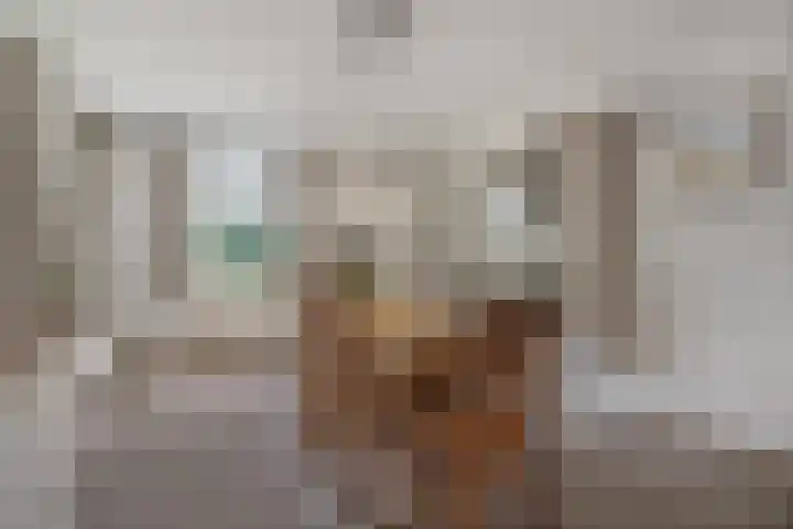 Beemdweg 3 Den Dungen thumbnail 10