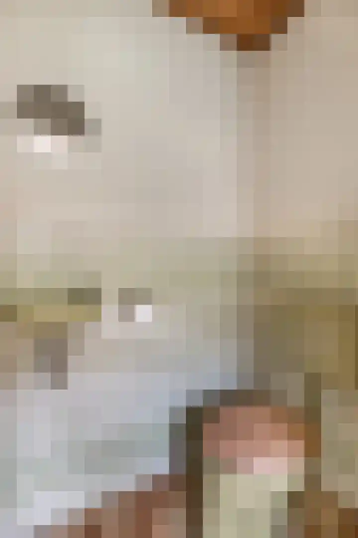 Beemdweg 3 Den Dungen thumbnail 13