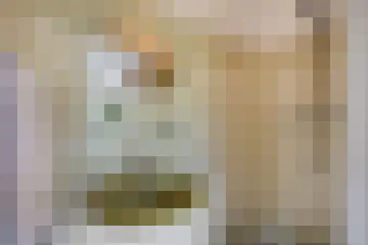 Beemdweg 3 Den Dungen thumbnail 14