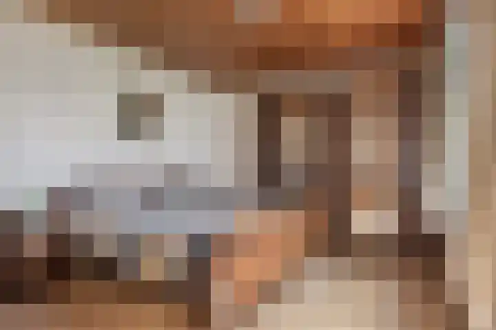 Beemdweg 3 Den Dungen thumbnail 15