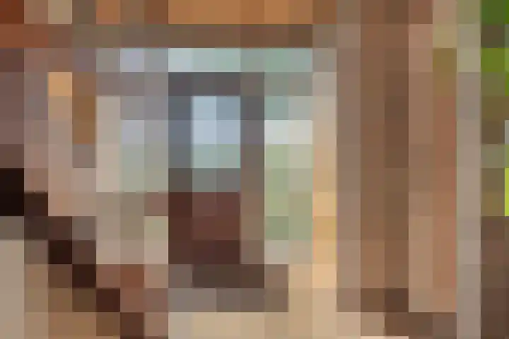 Beemdweg 3 Den Dungen thumbnail 16