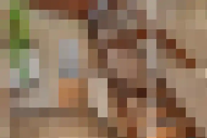 Beemdweg 3 Den Dungen thumbnail 17