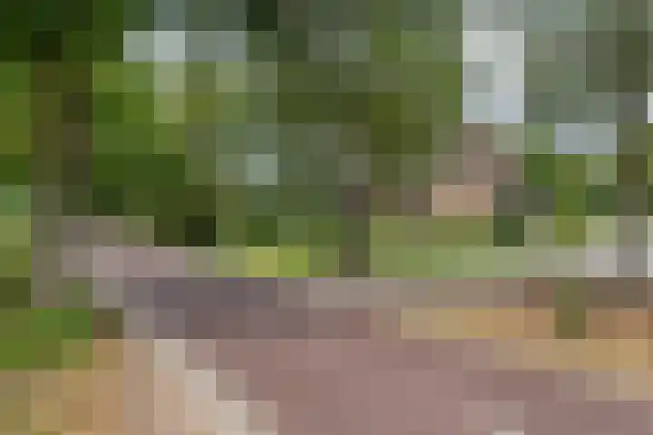 Beemdweg 3 Den Dungen foto 2