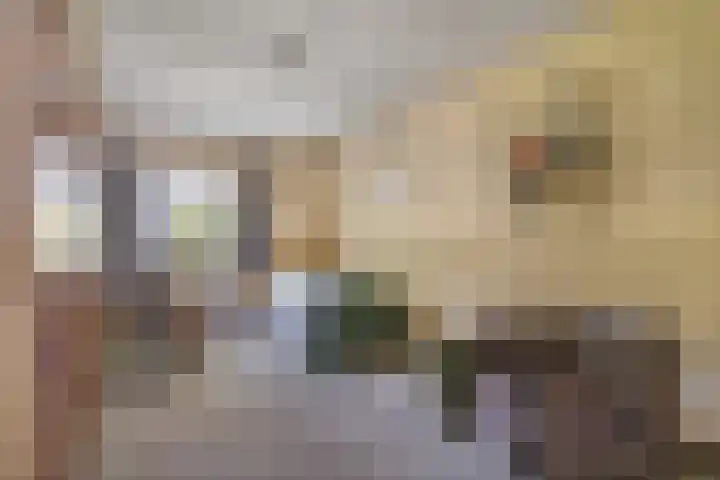 Beemdweg 3 Den Dungen thumbnail 21