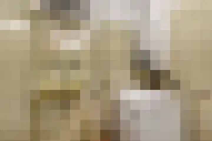 Beemdweg 3 Den Dungen thumbnail 23