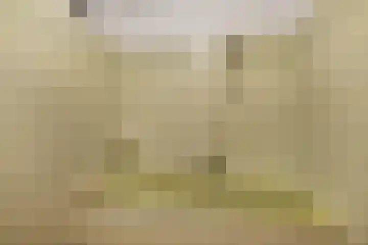 Beemdweg 3 Den Dungen thumbnail 24