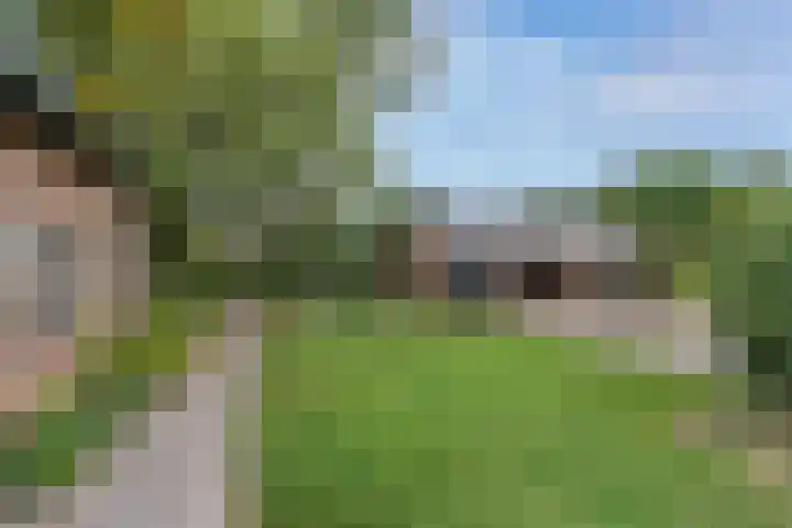 Beemdweg 3 Den Dungen thumbnail 25
