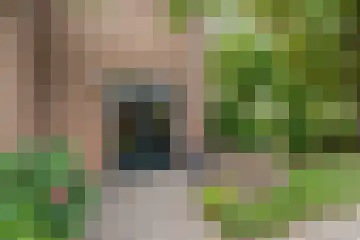 Beemdweg 3 Den Dungen thumbnail 26