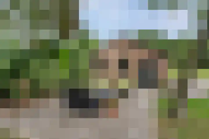 Beemdweg 3 Den Dungen thumbnail 27