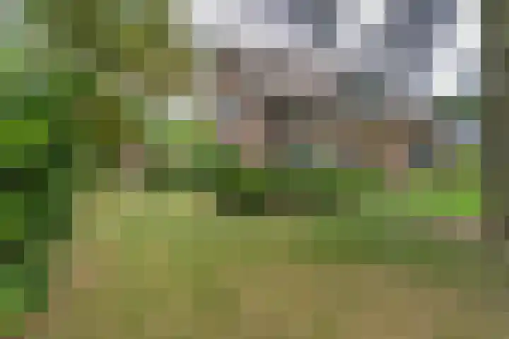 Beemdweg 3 Den Dungen thumbnail 28