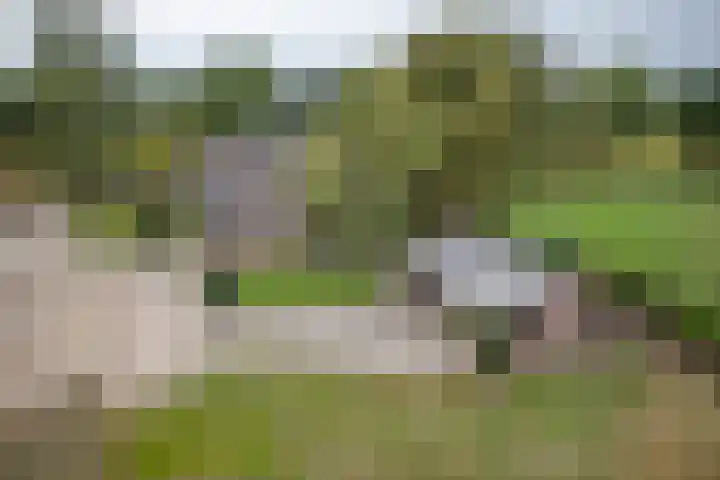 Beemdweg 3 Den Dungen thumbnail 29