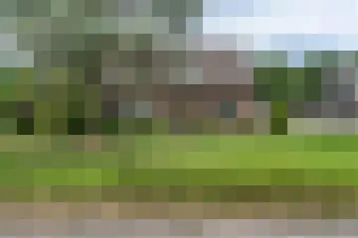Beemdweg 3 Den Dungen foto 3